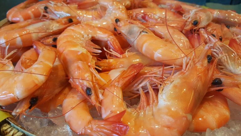 DIY Pet Treats: Shopping for Healthy Ingredients: Allpanel com, Best online cricket id, Gold 365 cricket