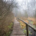 Exploring the Market for Vehicle-to-Cloud (V2C) Communication: Opportunities for Dealerships: Allpanel 777, Laserbook247.online, 99exch.in