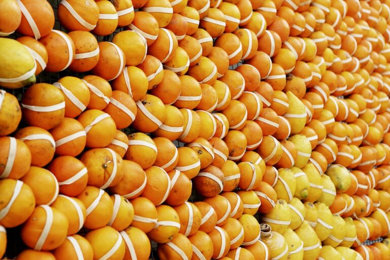 Understanding the Nutritional Benefits of Locally Grown Produce: All panal.com, Laser247 com, Yalo247