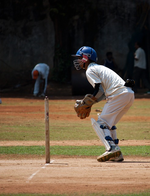 The Influence of Cricket on Indigenous Art and Crafts